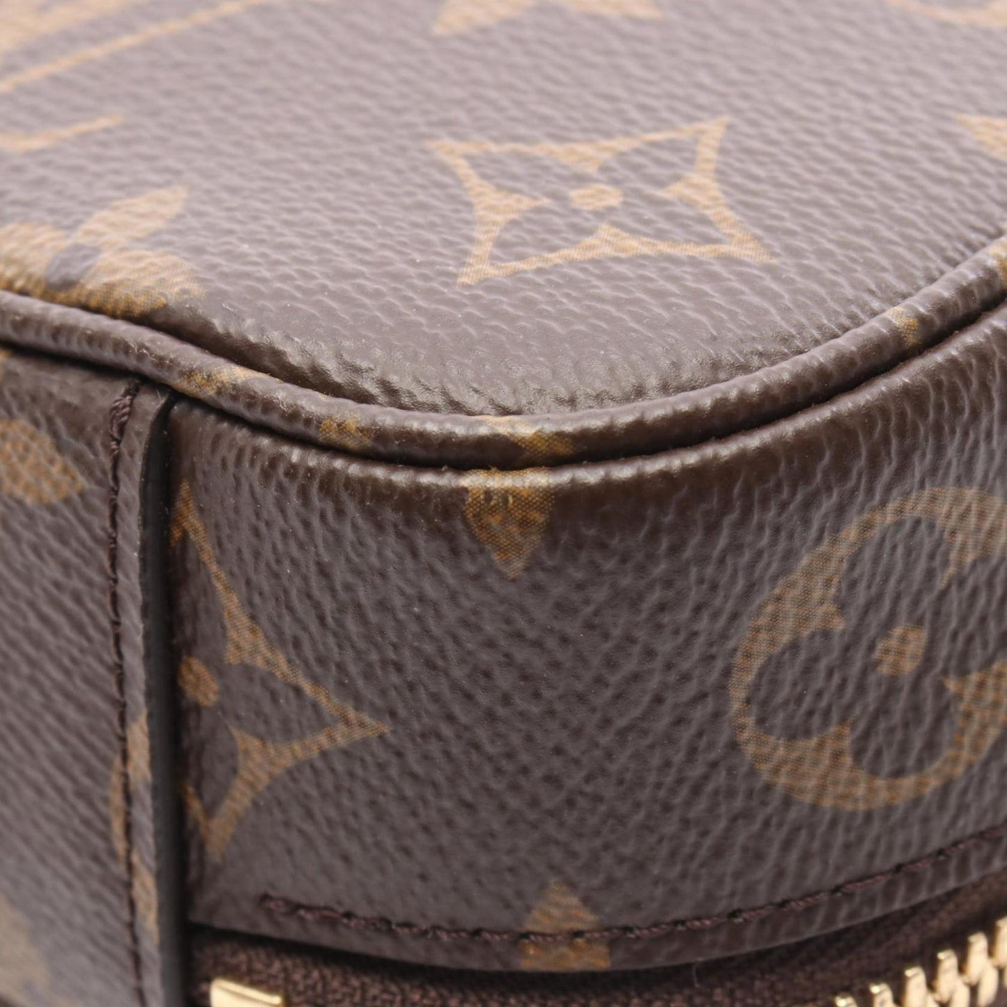 Louis Vuitton Pvc Brown Handbags