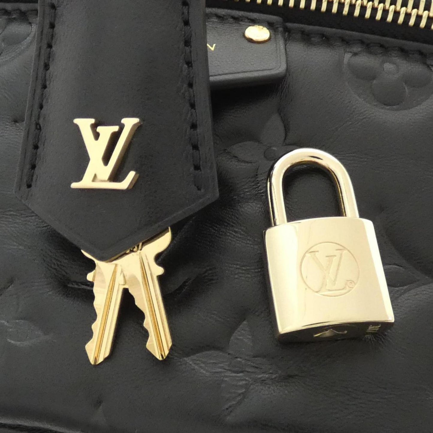 Louis Vuitton Others Black Handbags