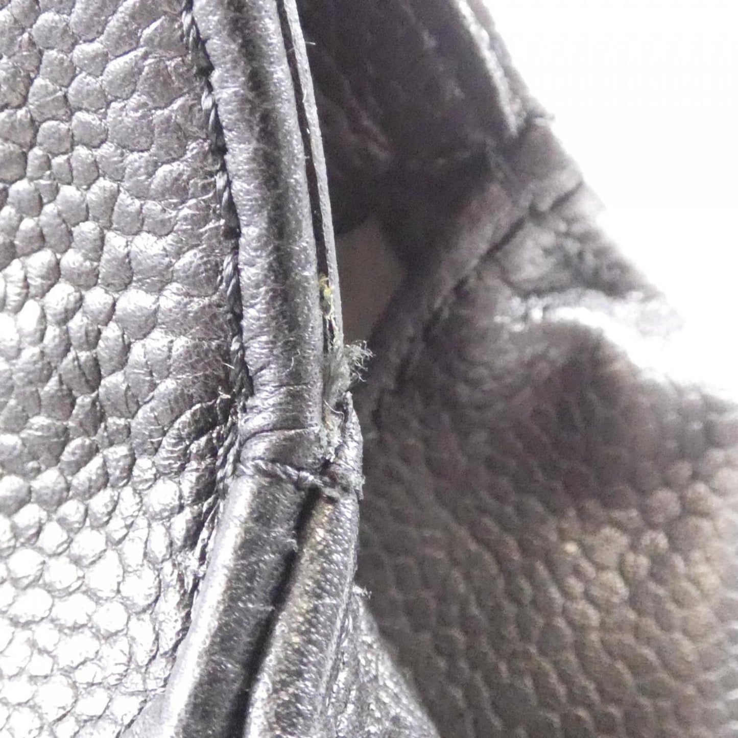 Longchamp Others Black Handbags