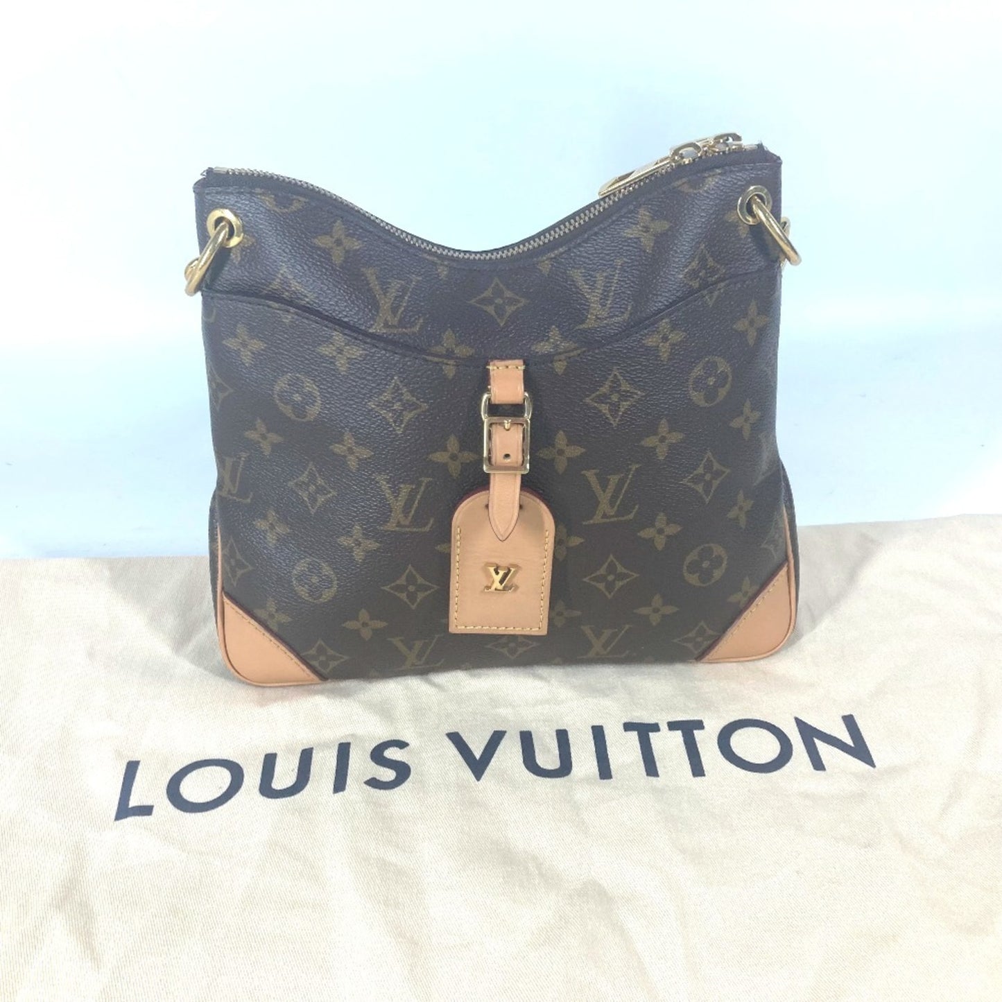 Louis Vuitton Monogram Canvas Brown Shoulder Bags
