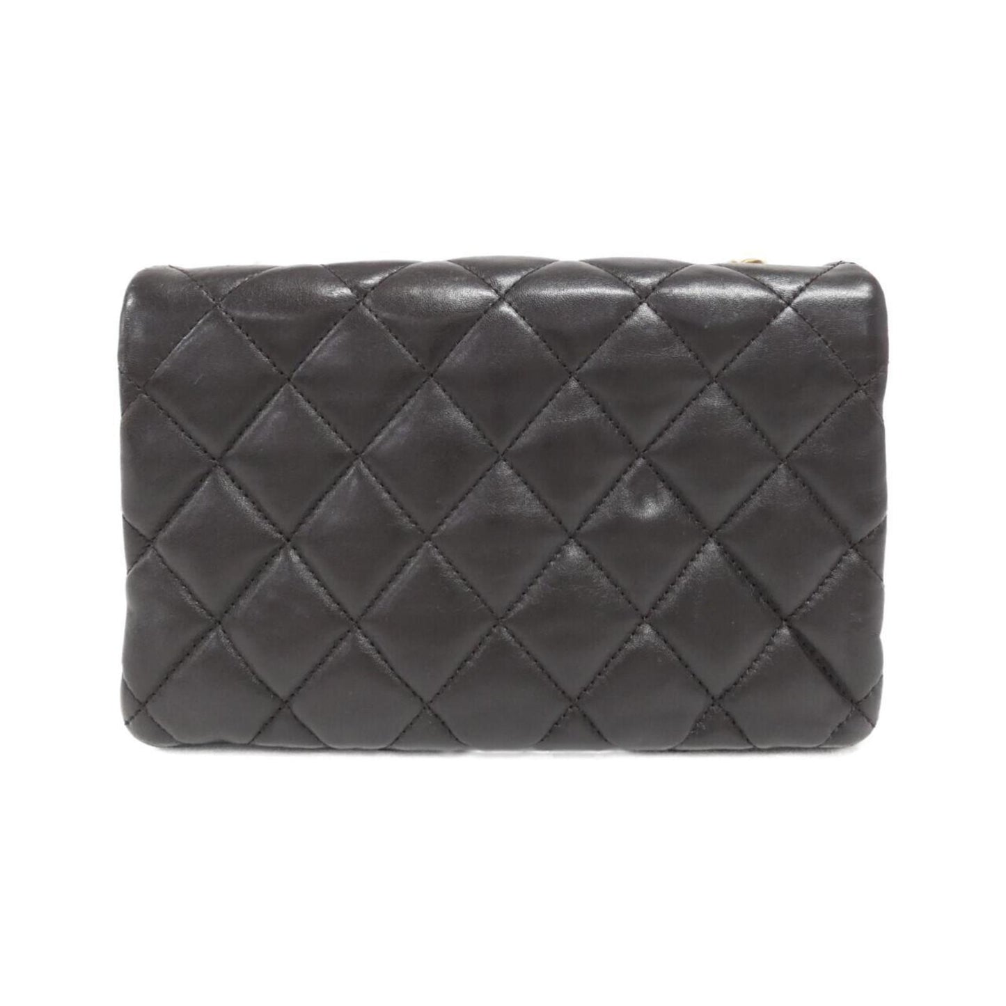 Chanel Others Brown Shoulder Bags