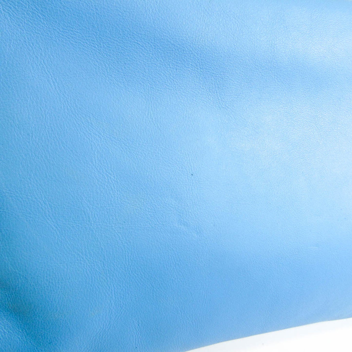 Bottega Veneta Others Blue Clutch Bags