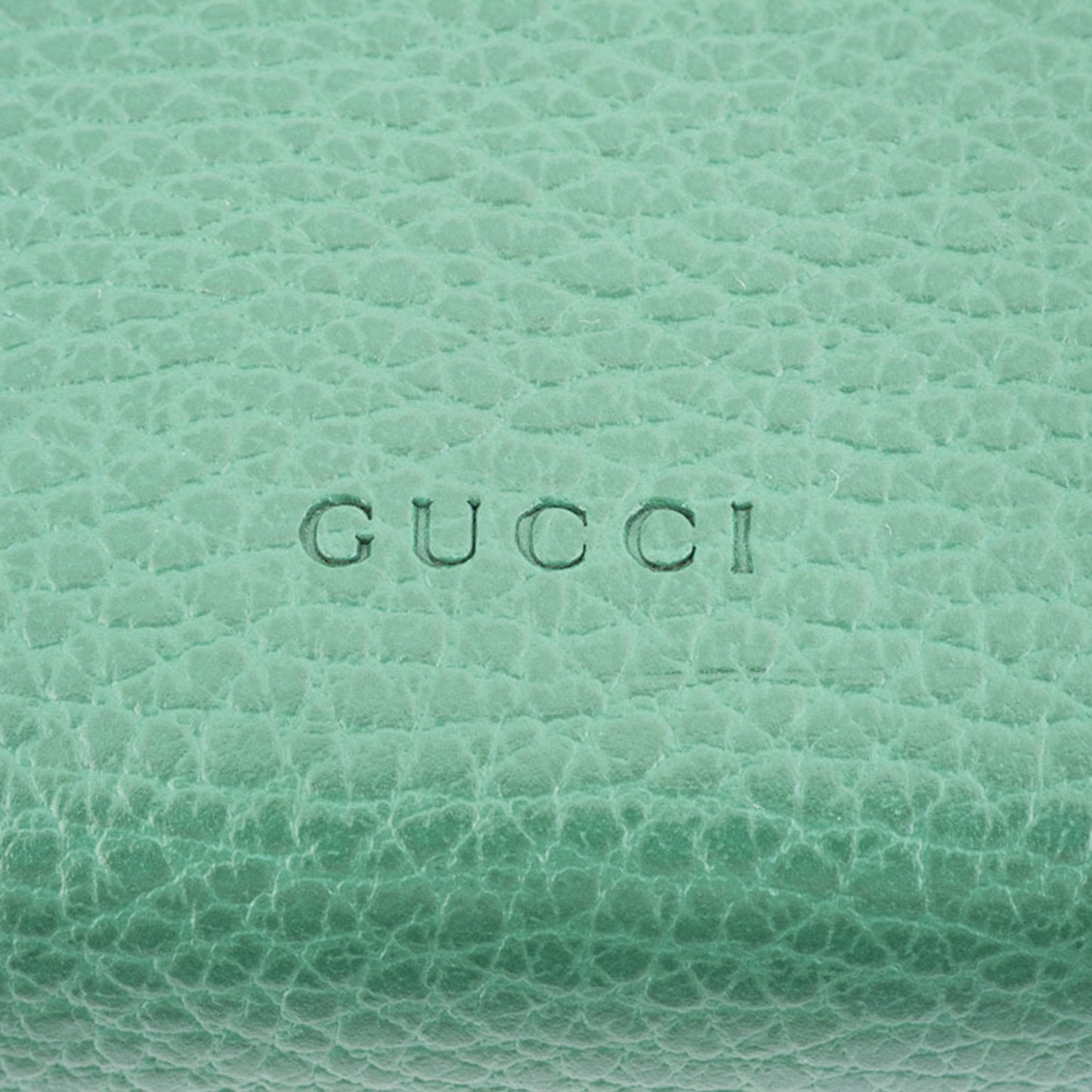Gucci Others Green Shoulder Bags