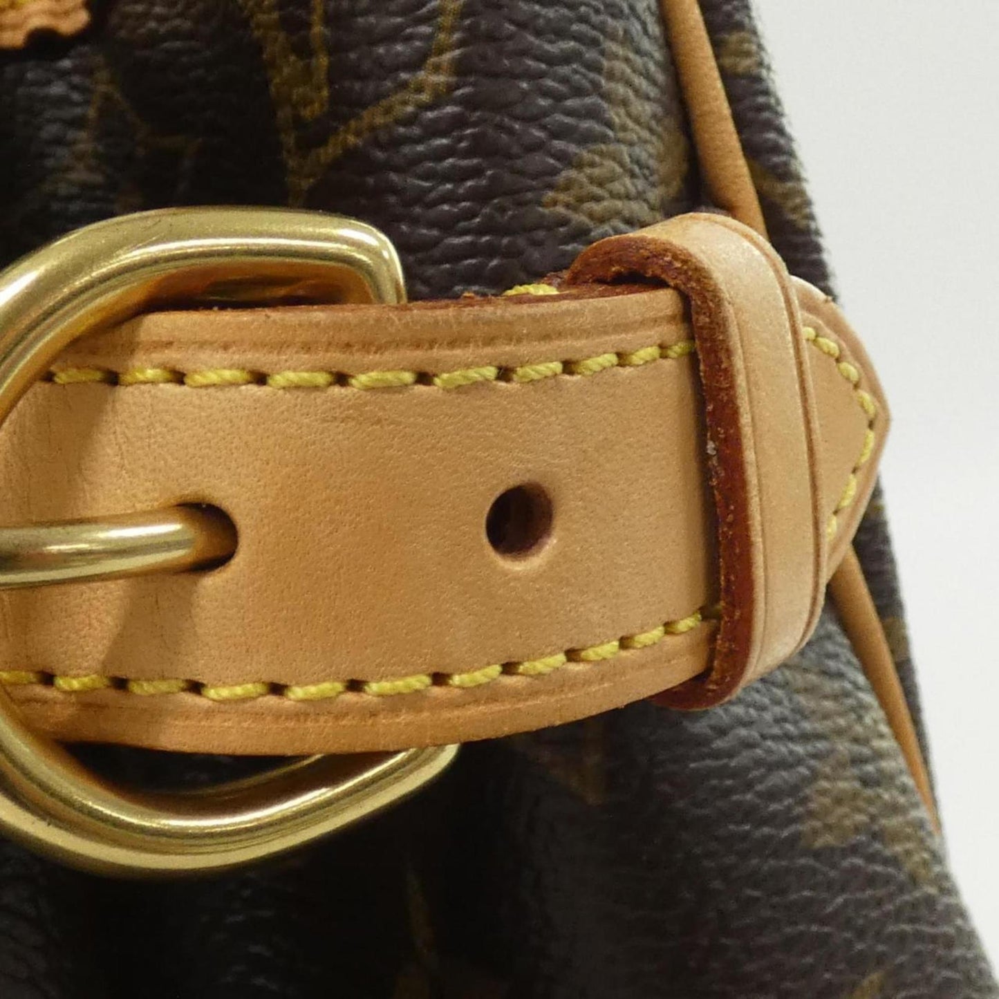 Louis Vuitton Coated Canvas Brown Handbags