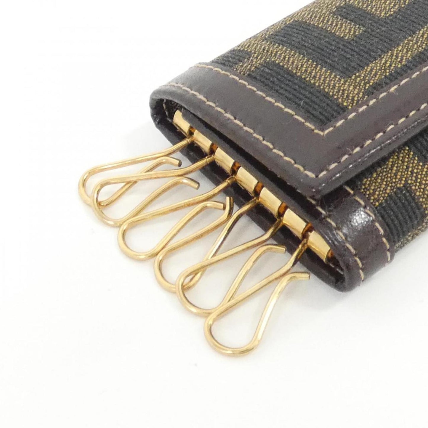 Fendi Canvas Brown Cases