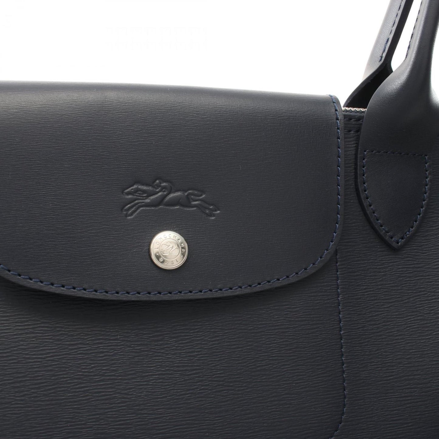 Longchamp Canvas Blue Tote Bags