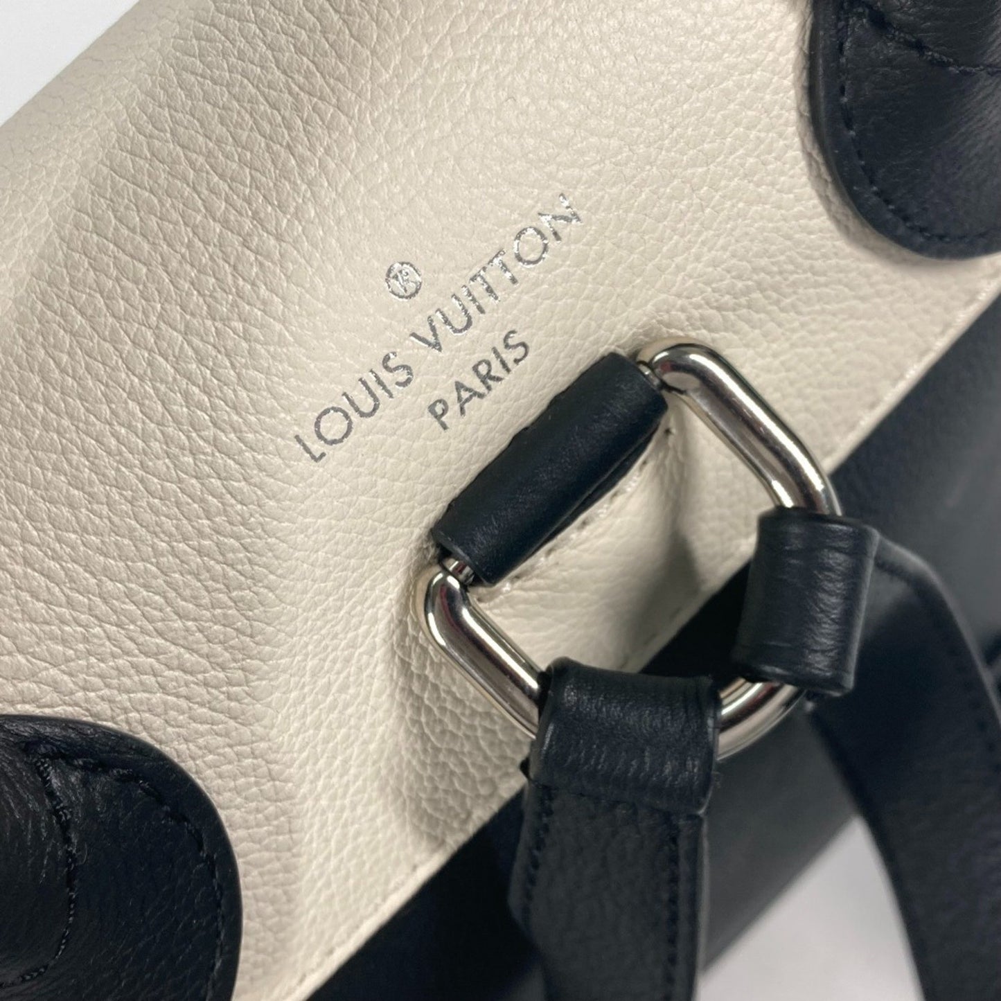 Louis Vuitton Others Black Backpacks