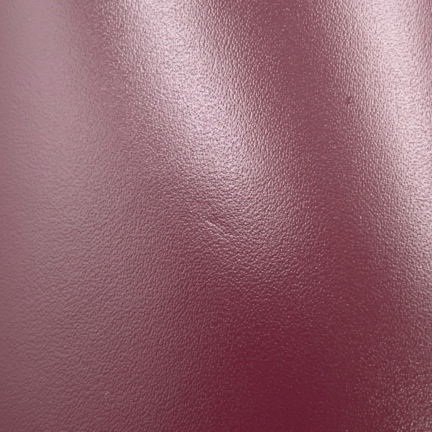 Celine Others Red Handbags