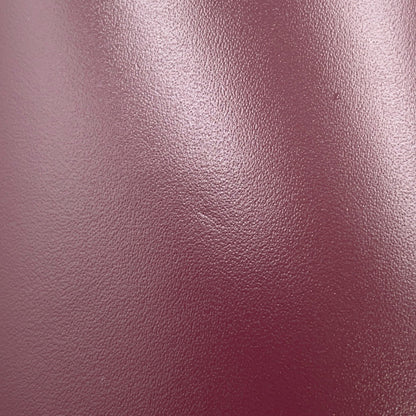Celine Others Red Handbags