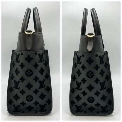 Louis Vuitton Others Black Handbags