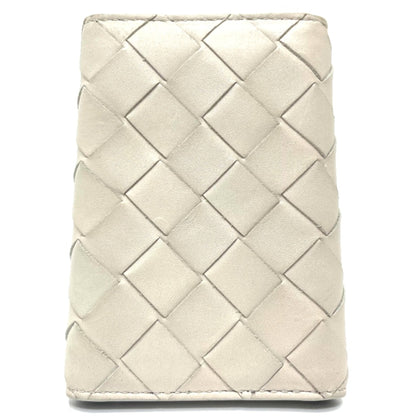 Bottega Veneta Others White Cases