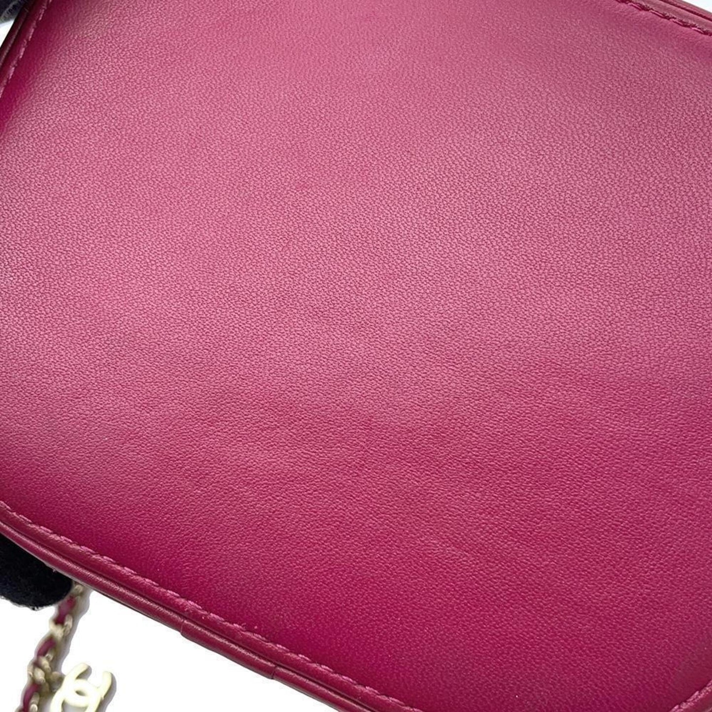 Chanel Others Purple Shoulder Bags