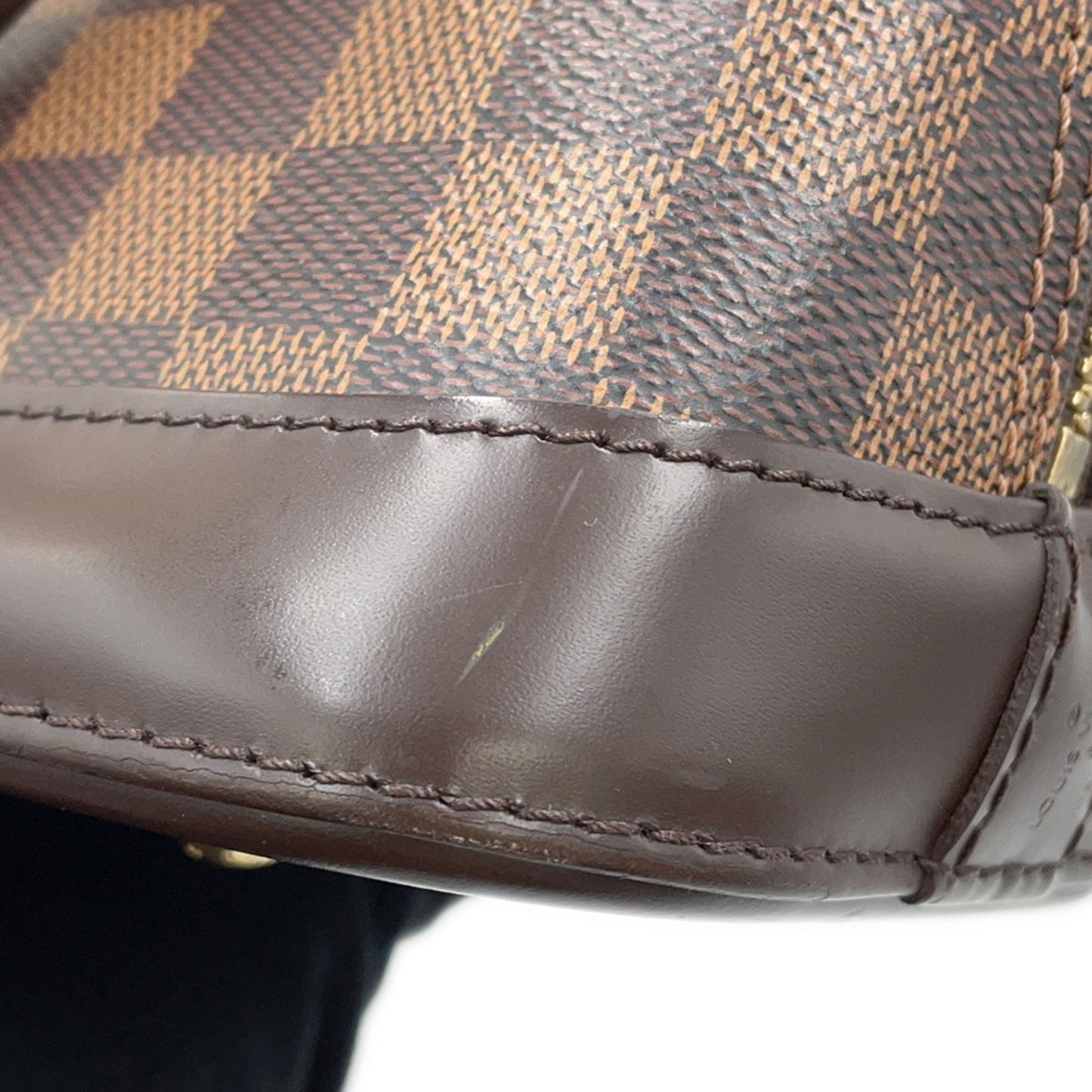 Louis Vuitton Others Brown Handbags