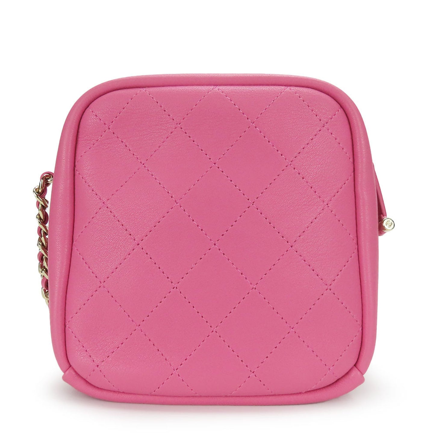 Chanel Others Pink Shoulder Bags