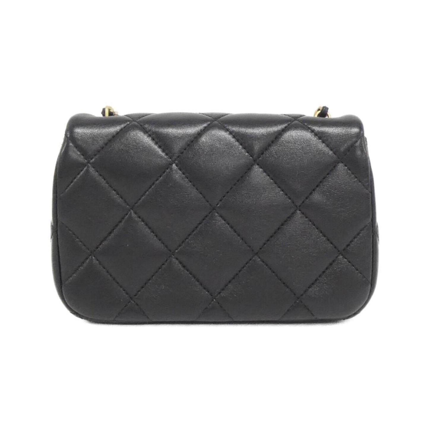 Chanel Others Black Shoulder Bags
