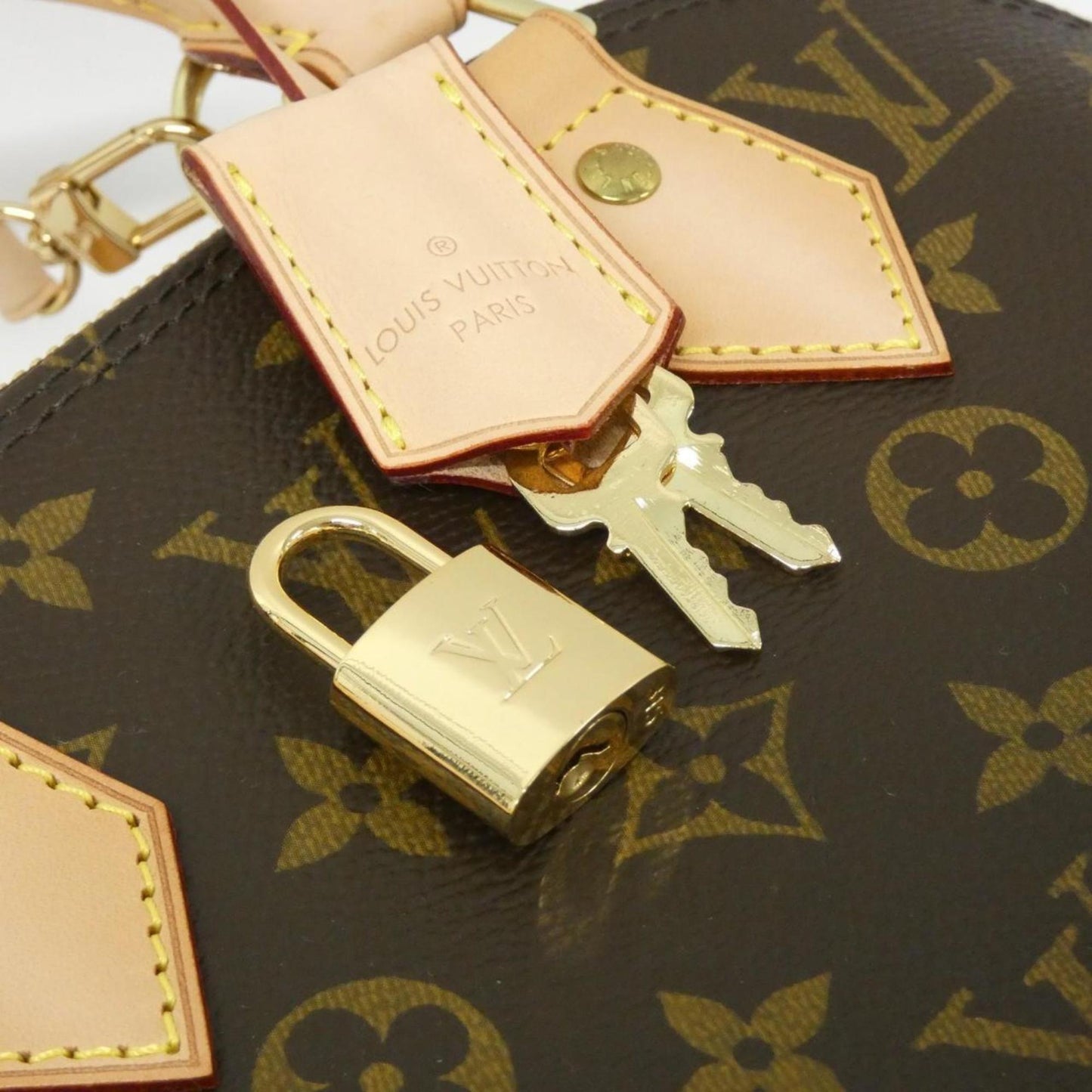 Louis Vuitton Coated Canvas Brown Handbags