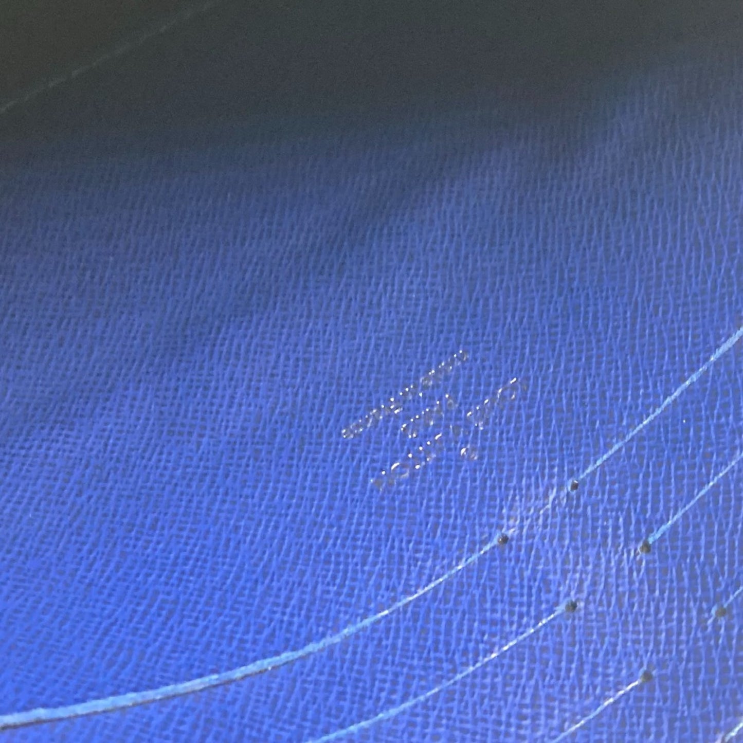 Louis Vuitton Others Blue Clutch Bags
