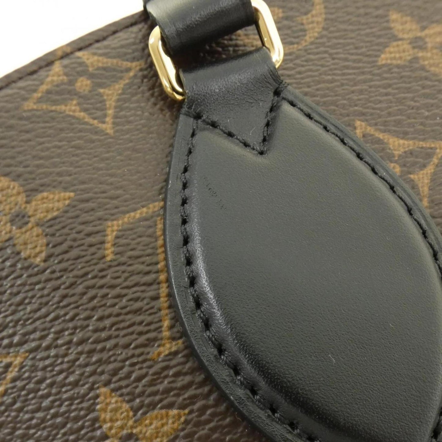 Louis Vuitton Coated Canvas Black Handbags