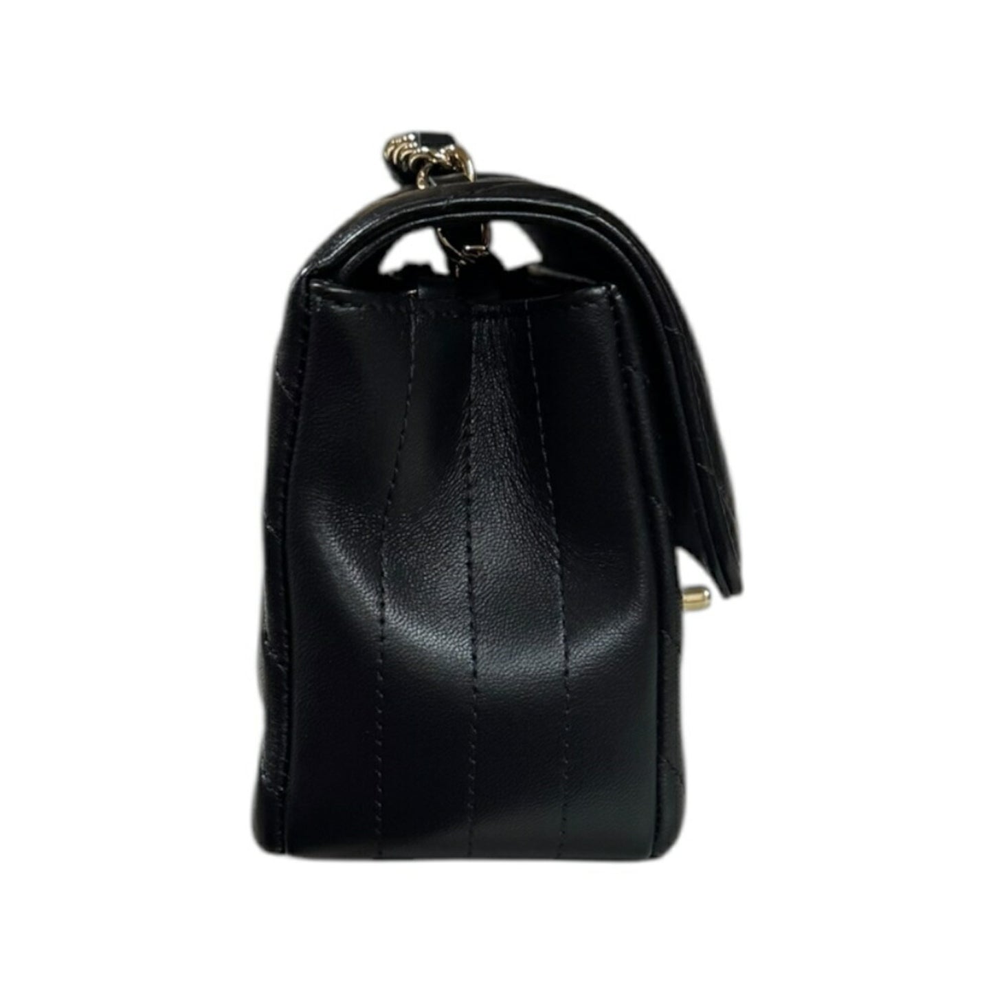 Chanel Others Black Shoulder Bags