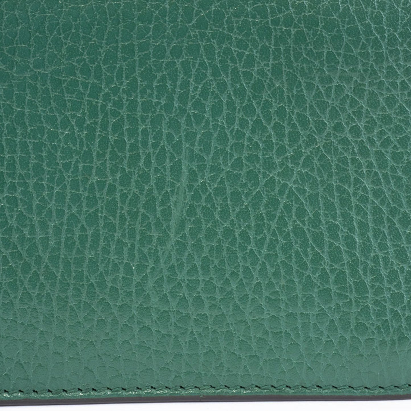 Gucci Others Green Shoulder Bags