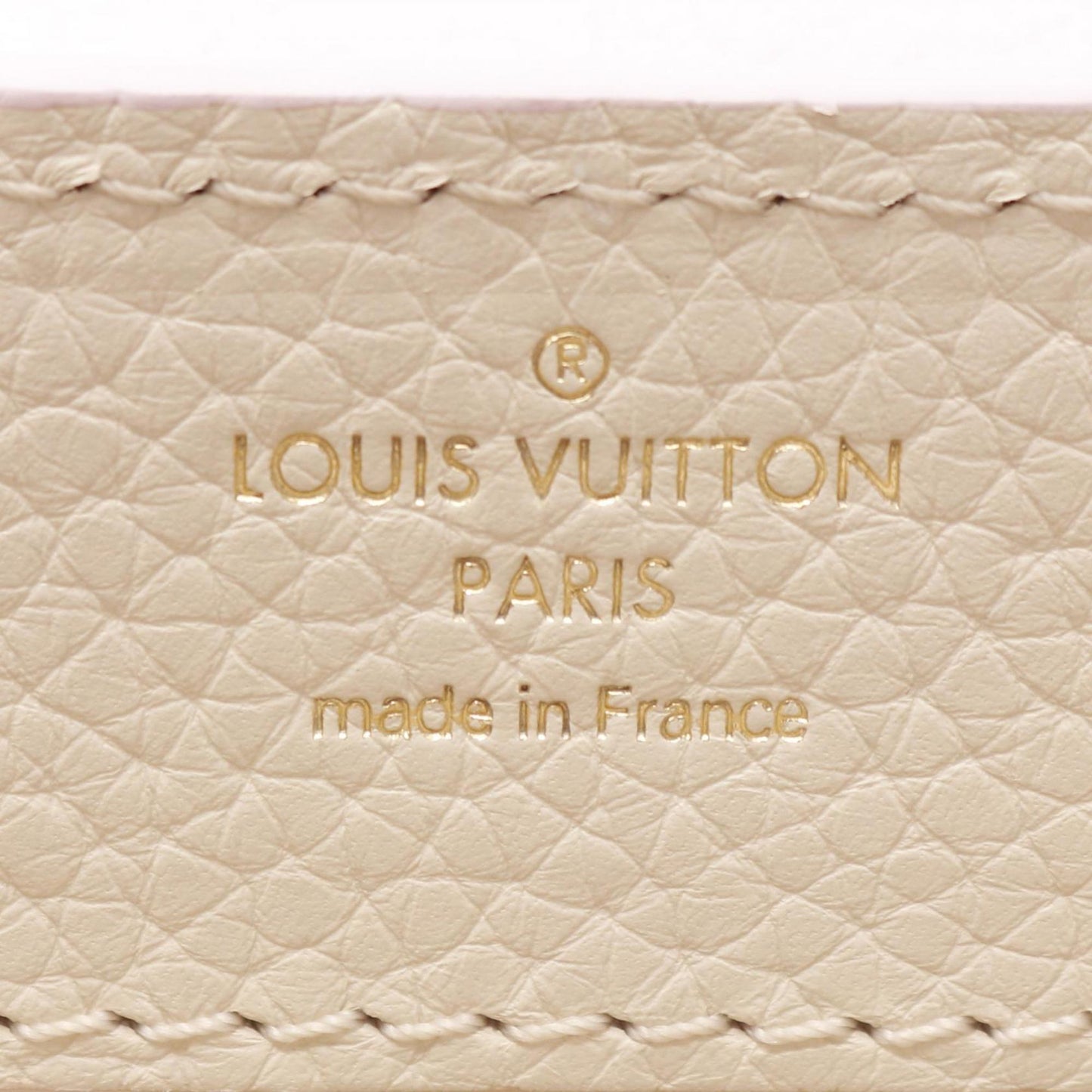 Louis Vuitton Others Purple Handbags