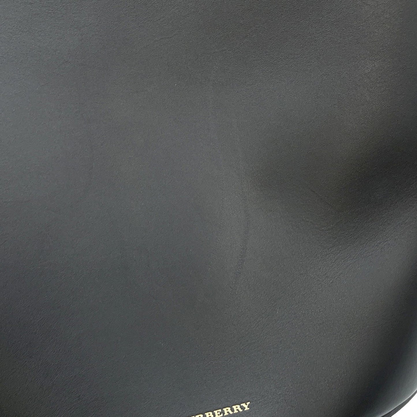 Burberry Others Black Shoulder Bags
