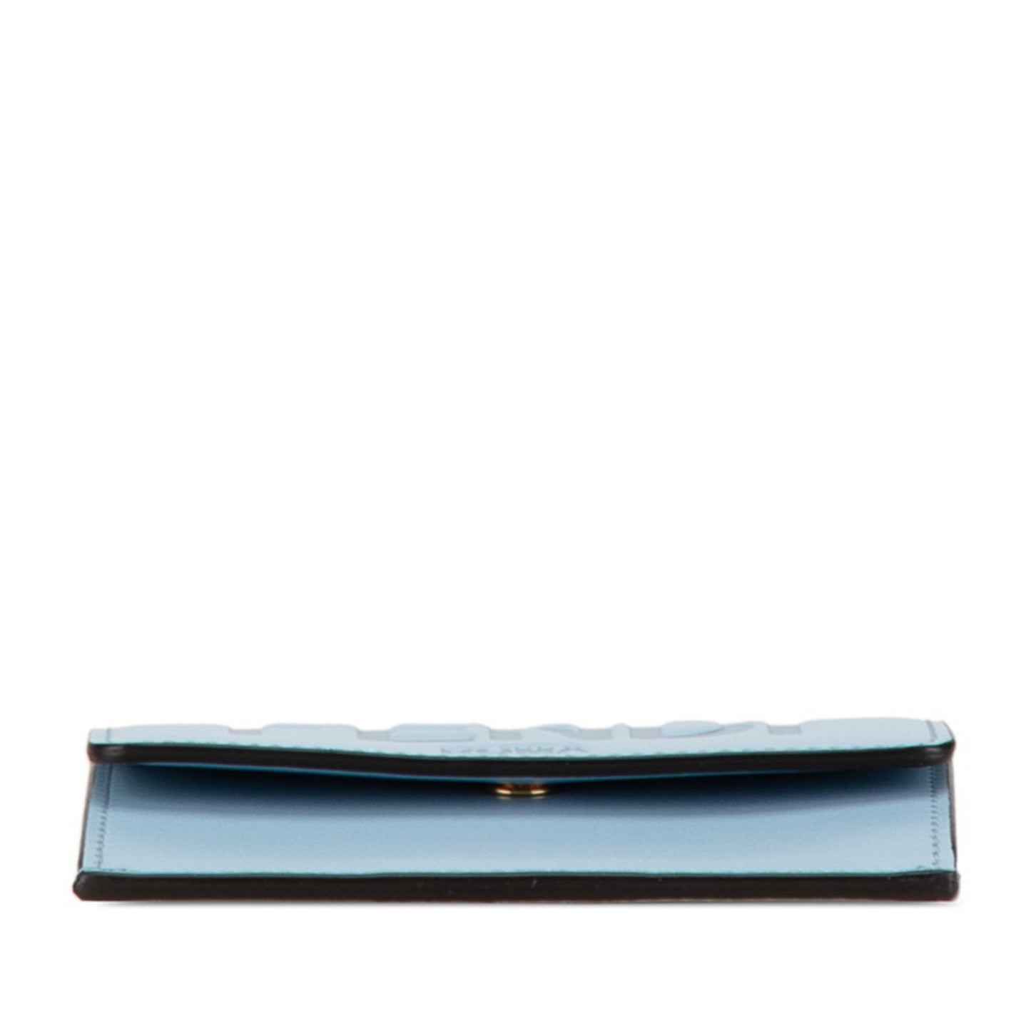 Fendi Others Blue Cases