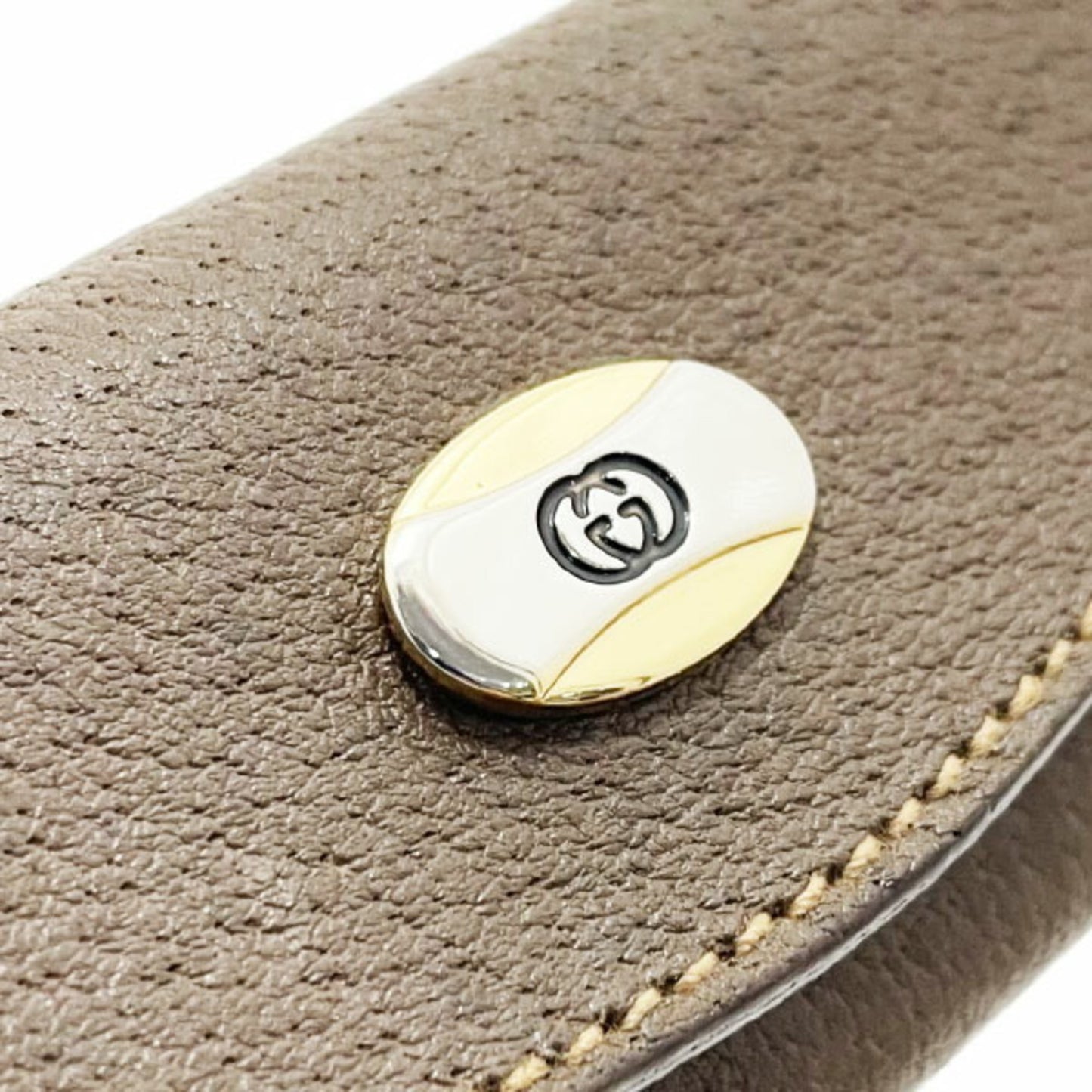 Gucci Others Brown Cases