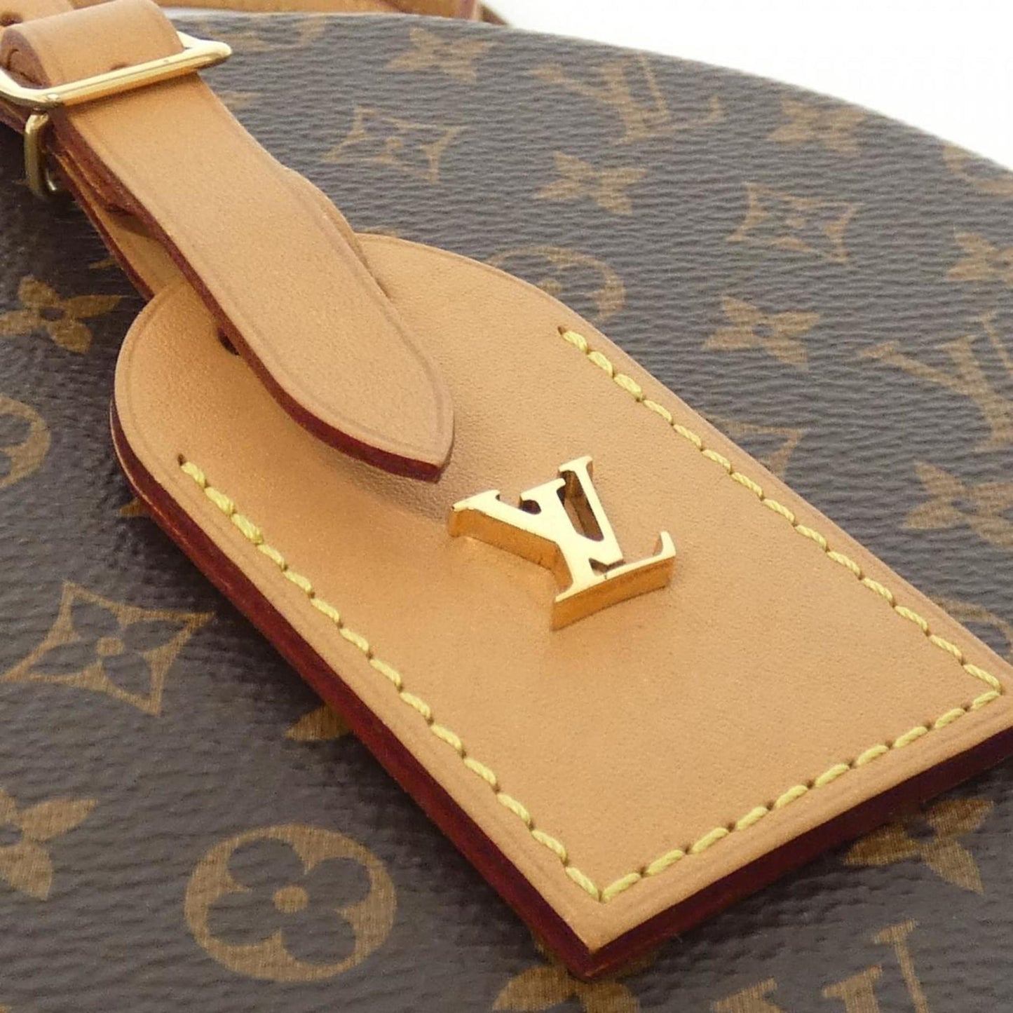 Louis Vuitton Coated Canvas Brown Handbags