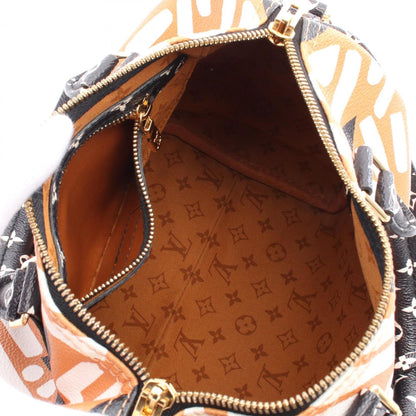 Louis Vuitton Coated Canvas Multi Handbags