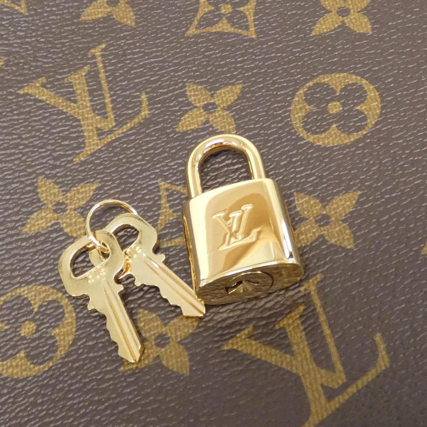 Louis Vuitton Coated Canvas Brown Handbags