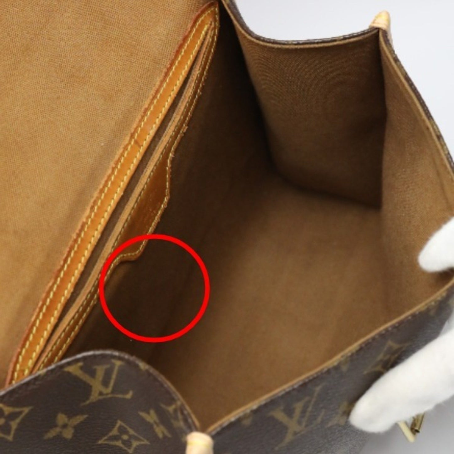Louis Vuitton Monogram Canvas Brown Handbags