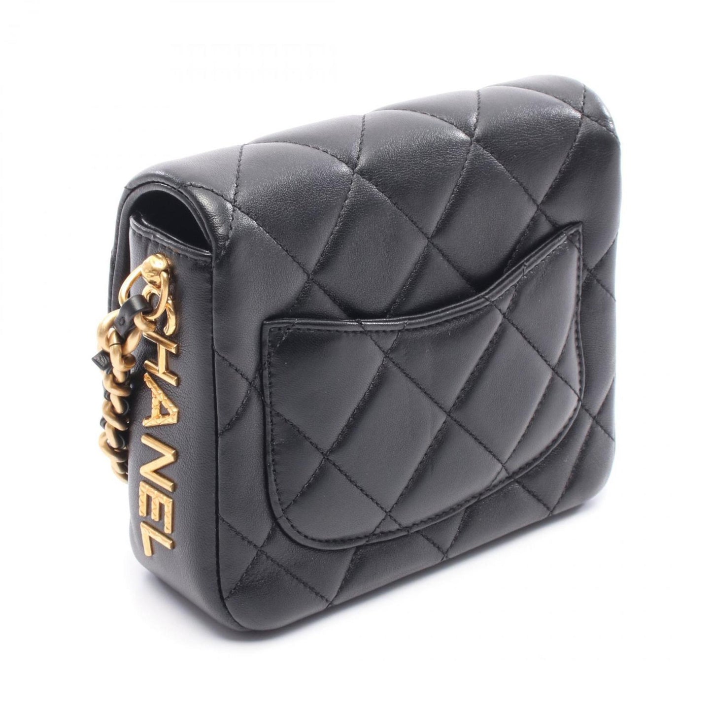 Chanel Others Black Shoulder Bags