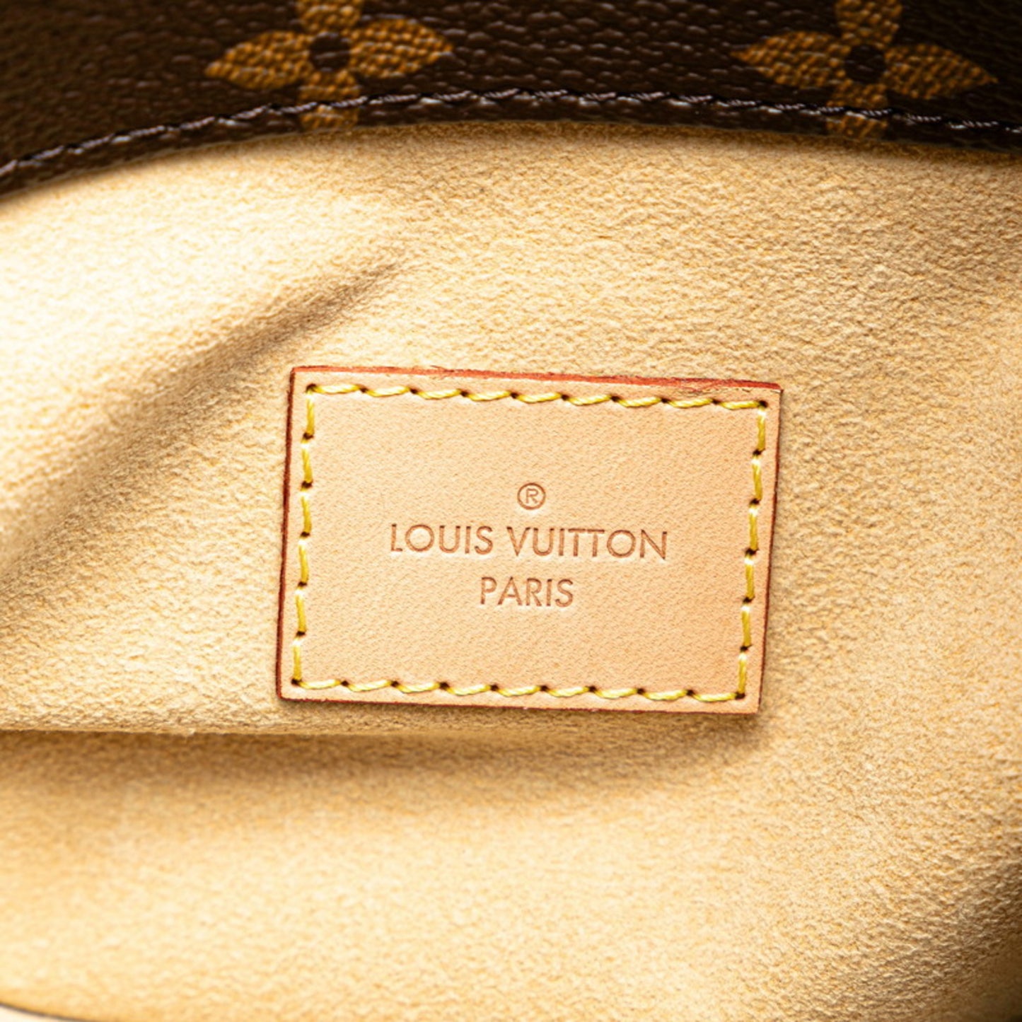 Louis Vuitton Pvc Brown Shoulder Bags