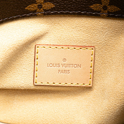 Louis Vuitton Pvc Brown Shoulder Bags
