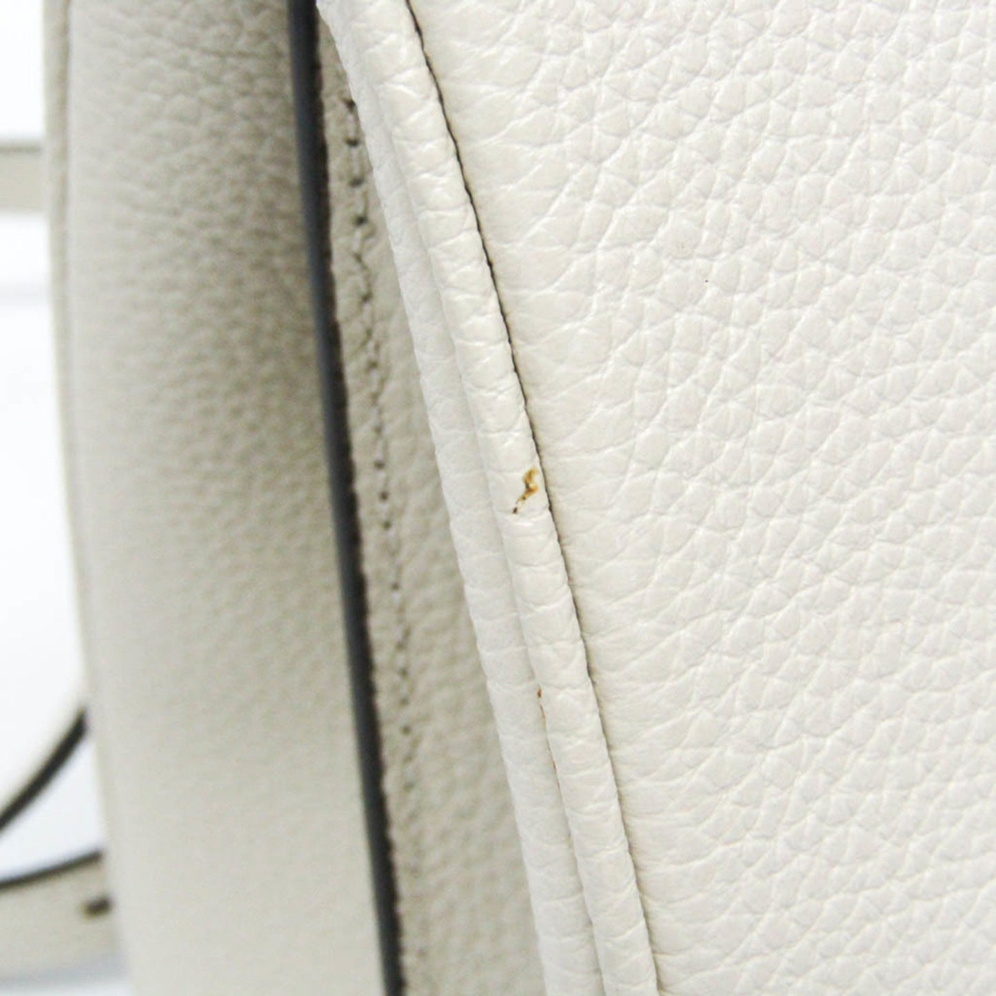 Gucci Others White Handbags