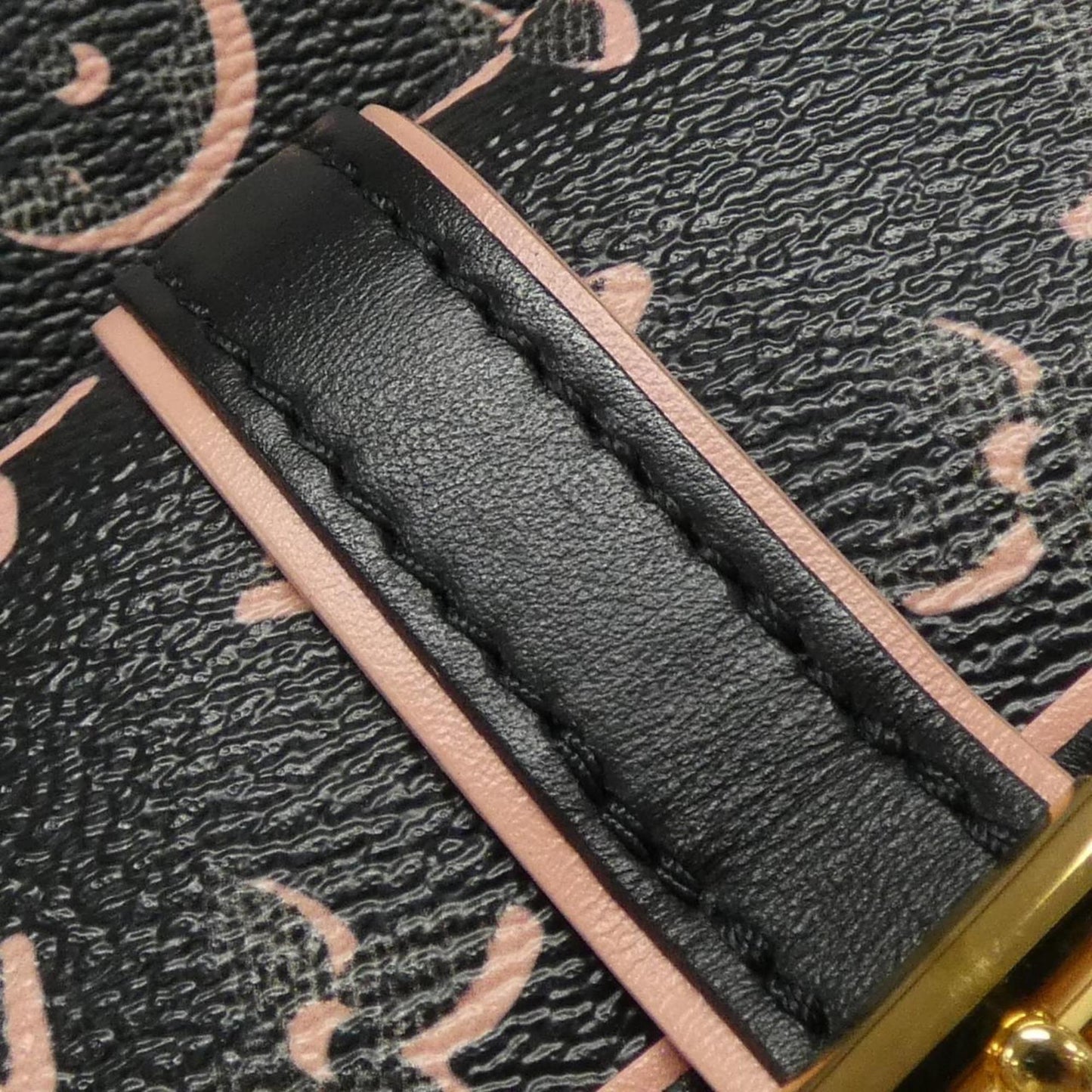 Louis Vuitton Coated Canvas Black Handbags