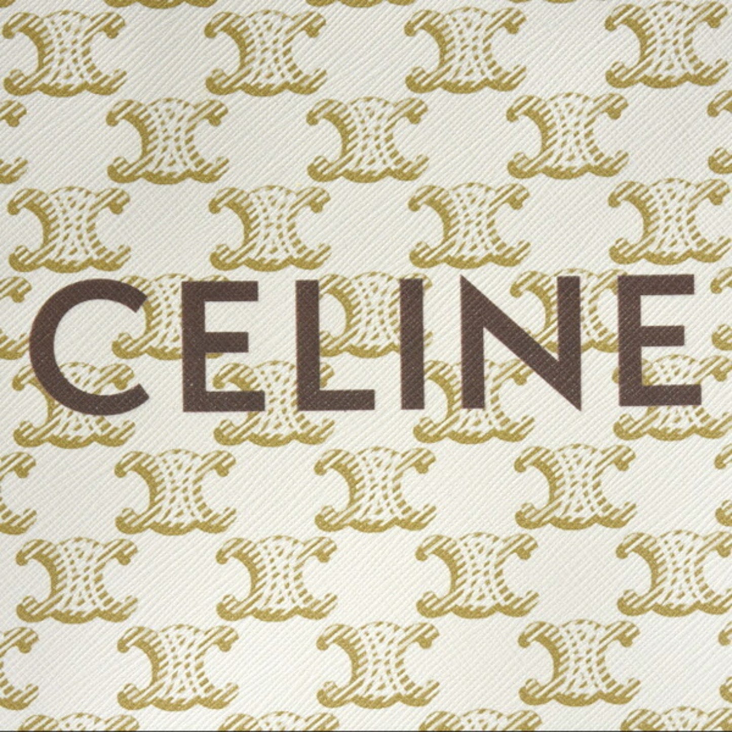 Celine Pvc Brown Handbags
