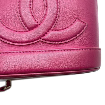 Chanel Others Purple Shoulder Bags