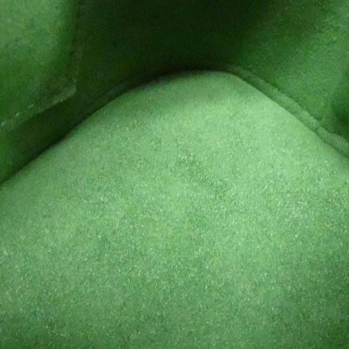 Louis Vuitton Others Green Handbags