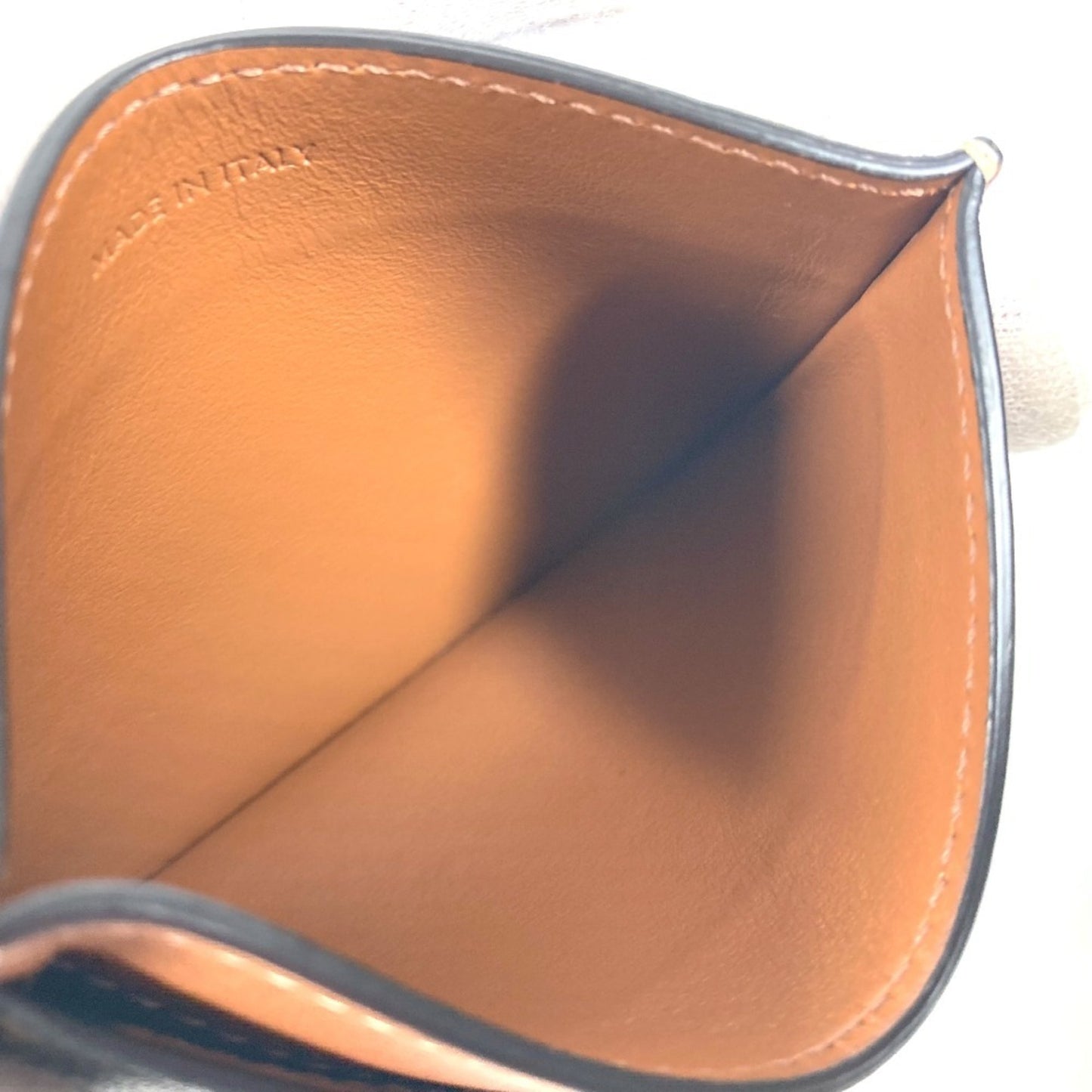 Celine Canvas Brown Cases