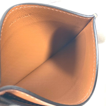 Celine Canvas Brown Cases