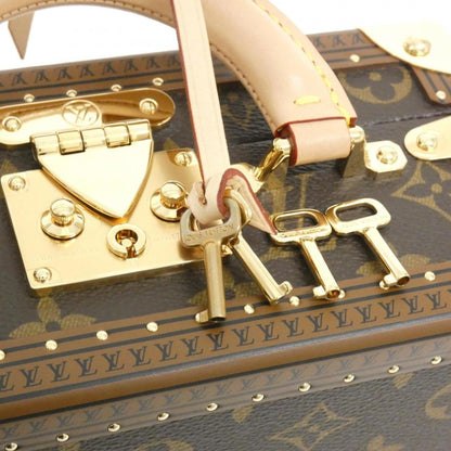 Louis Vuitton Coated Canvas Brown Handbags