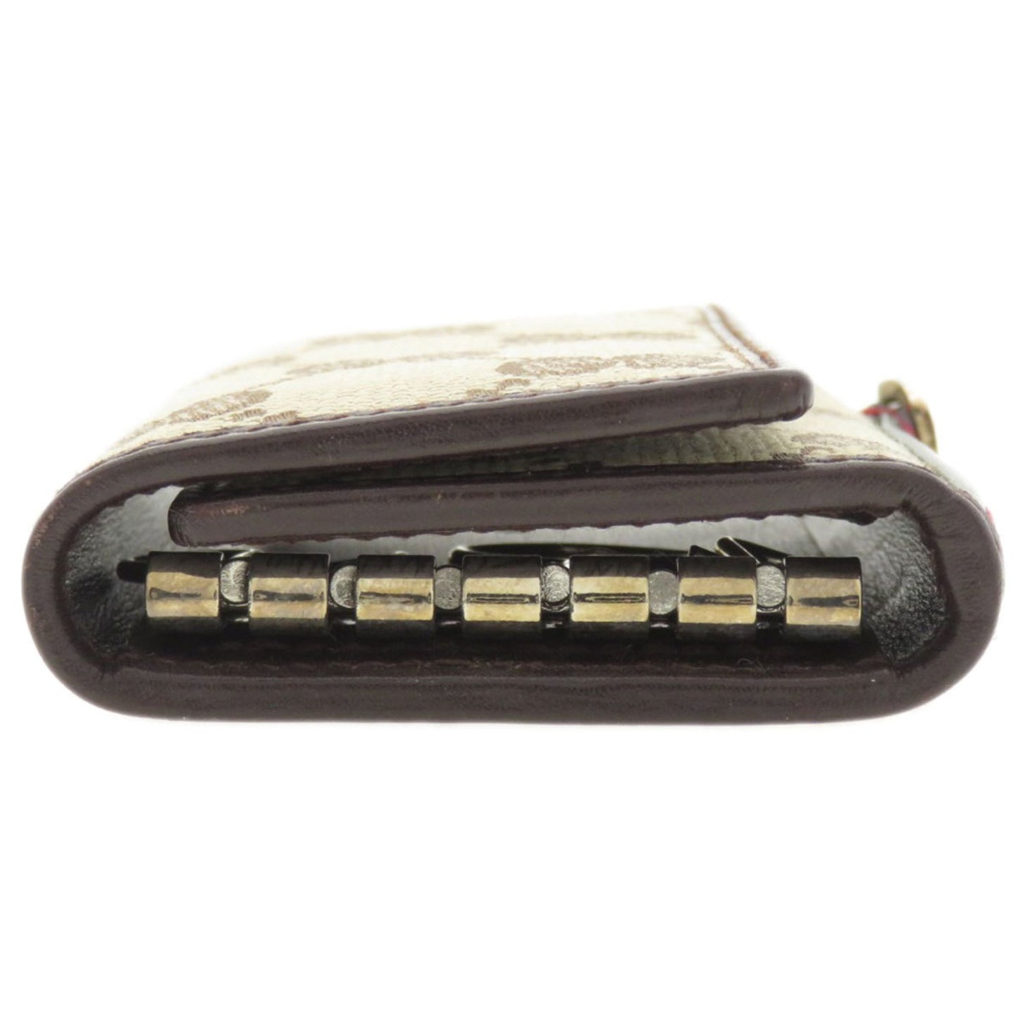Gucci Canvas Brown Cases
