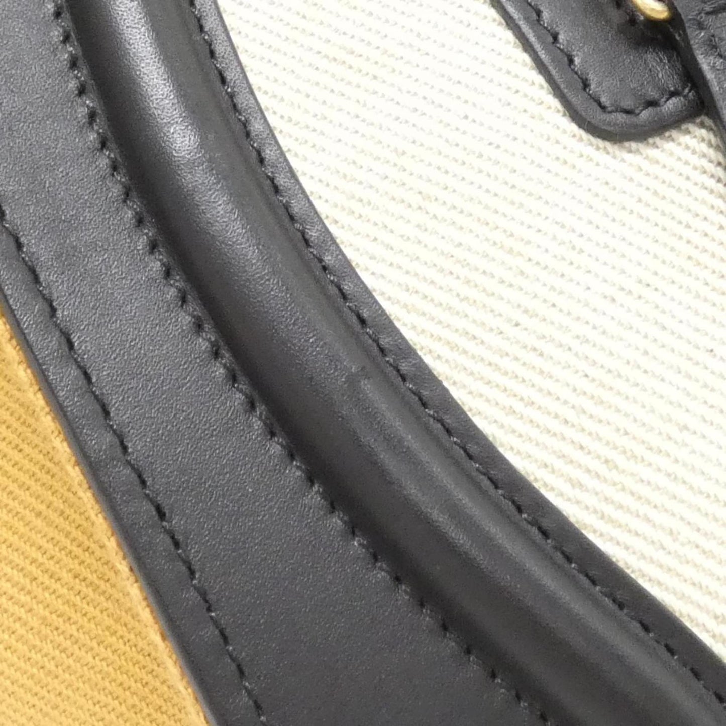 Celine Canvas Black Handbags