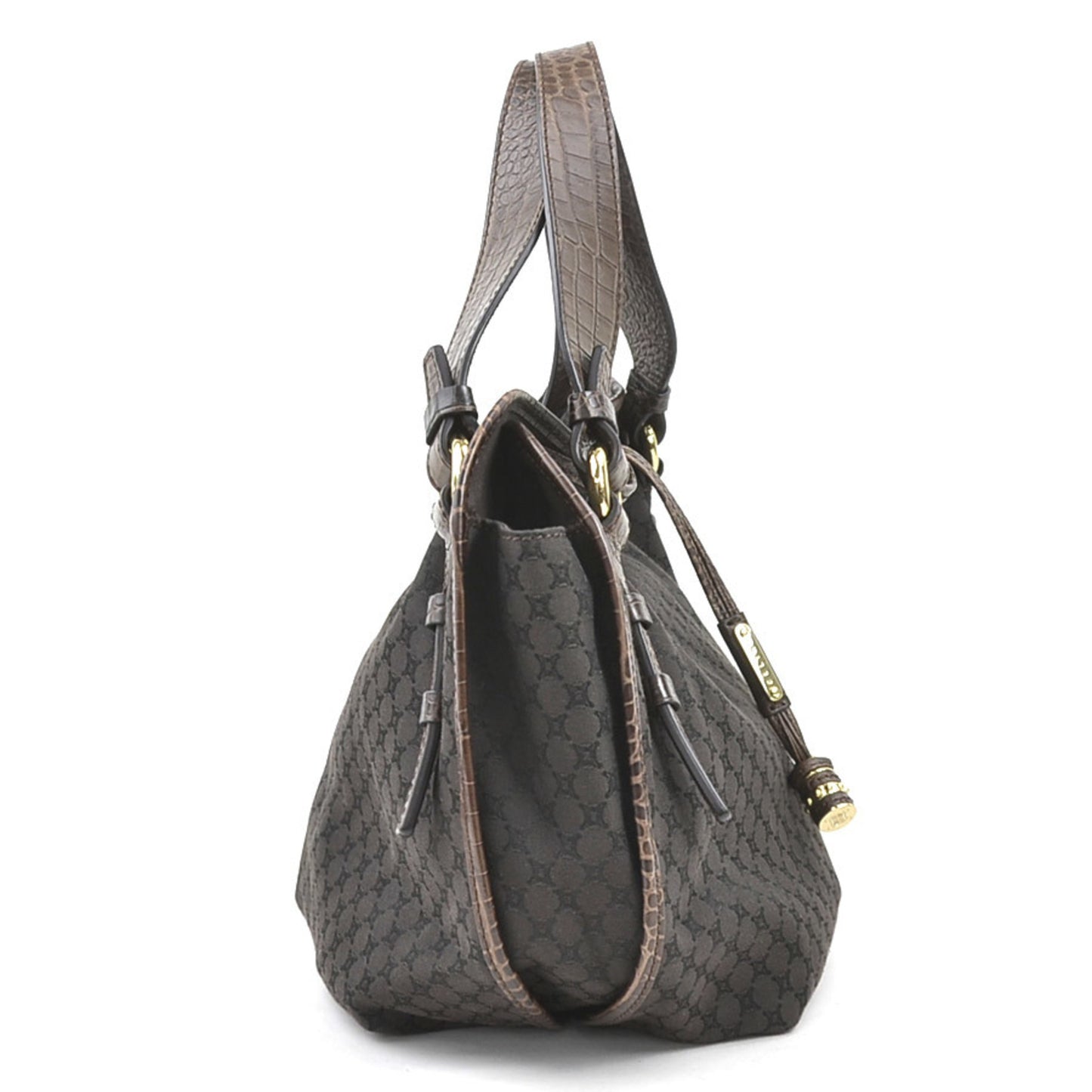 Celine Canvas Brown Handbags