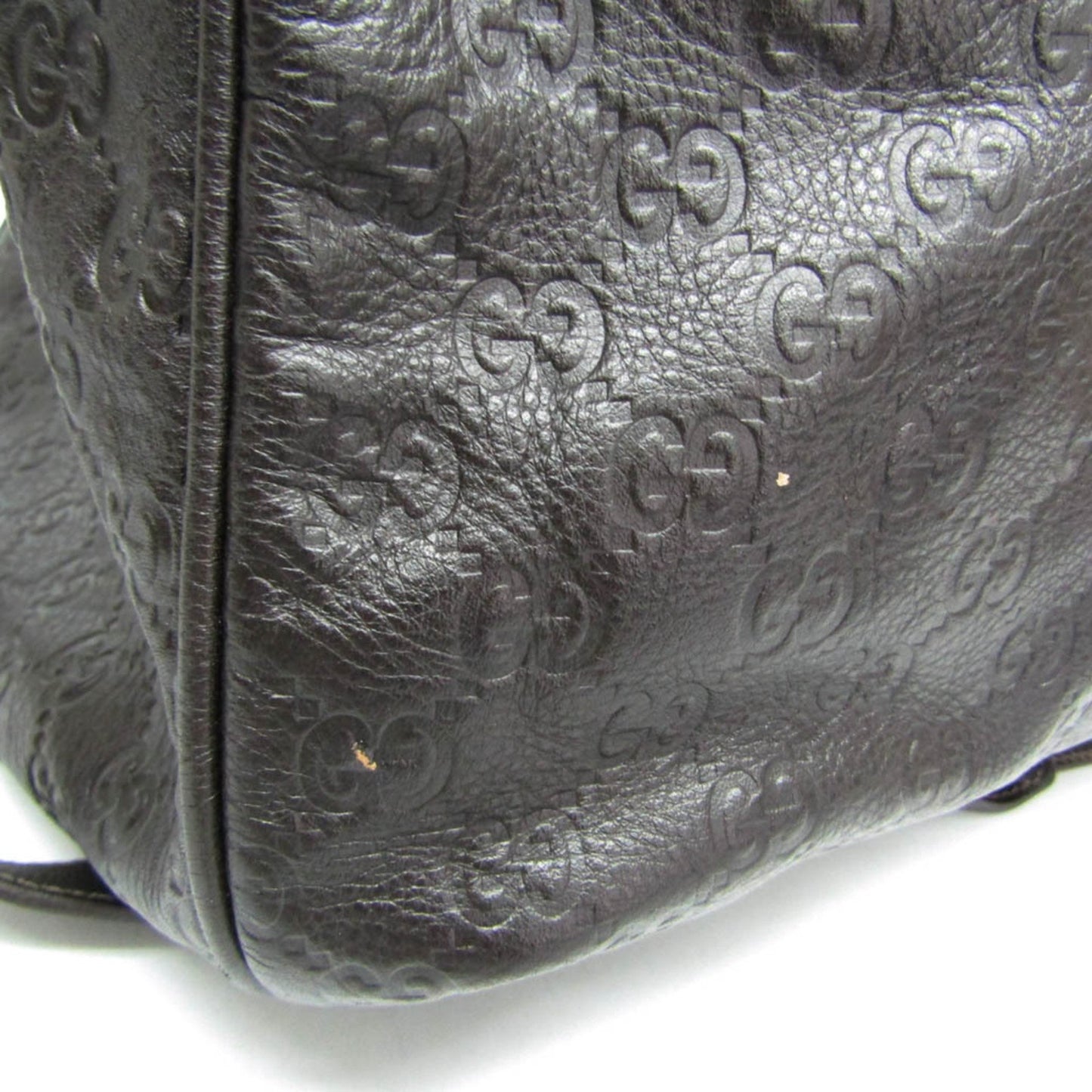 Gucci Others Brown Travel Bags