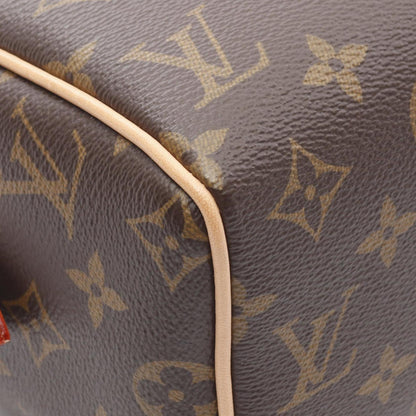 Louis Vuitton Pvc Brown Handbags