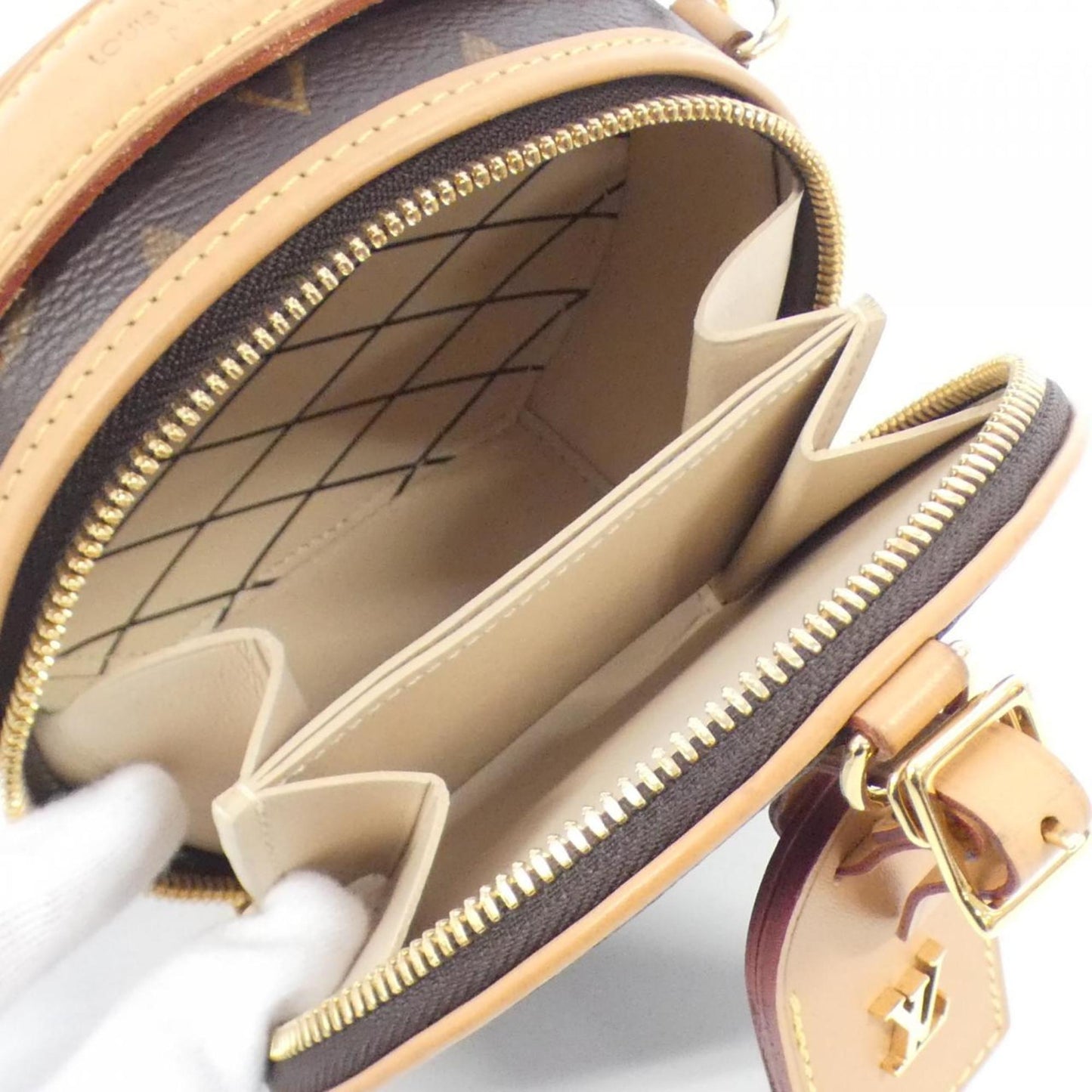 Louis Vuitton Coated Canvas Brown Handbags