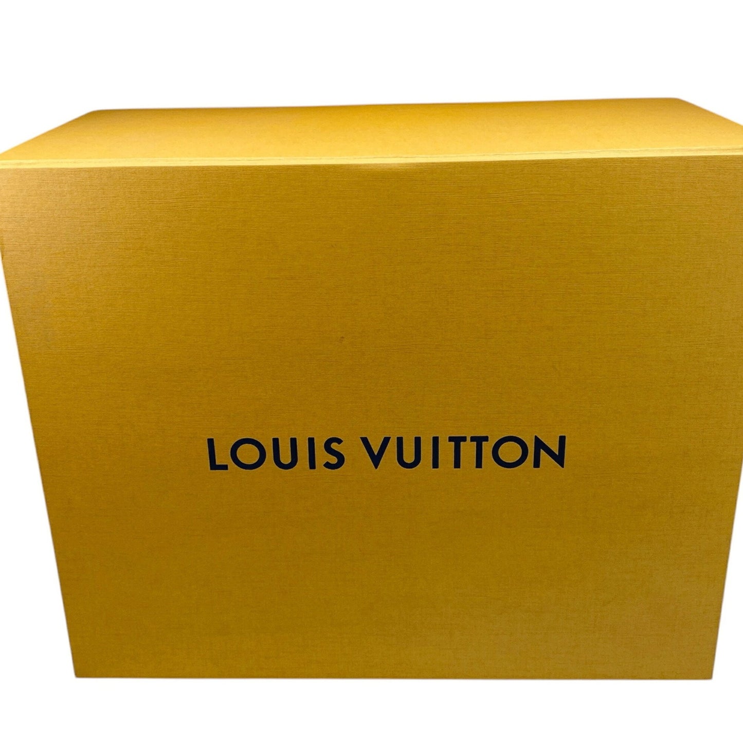 Louis Vuitton Others Blue Handbags